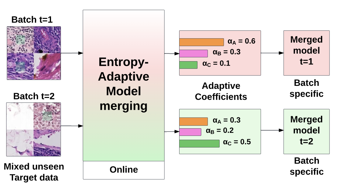 Entropy-Adaptive