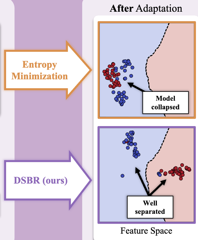 Entropy-Minimization and DSBR